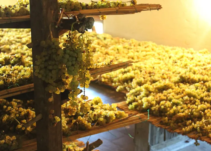 La Cantina Relais - Fattoria Il Cipresso